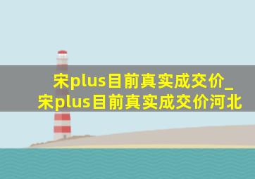 宋plus目前真实成交价_宋plus目前真实成交价河北