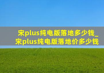 宋plus纯电版落地多少钱_宋plus纯电版落地价多少钱