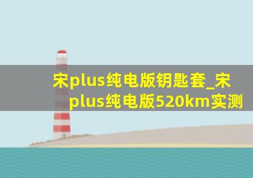 宋plus纯电版钥匙套_宋plus纯电版520km实测