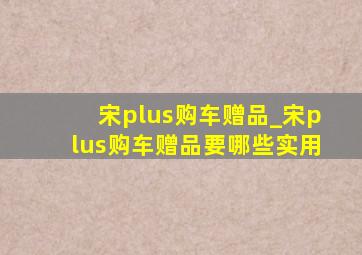 宋plus购车赠品_宋plus购车赠品要哪些实用