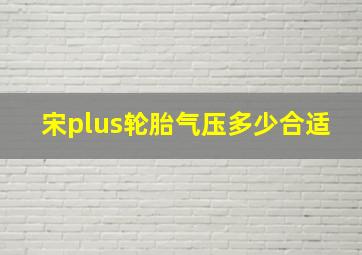 宋plus轮胎气压多少合适