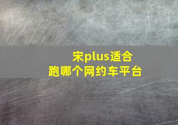 宋plus适合跑哪个网约车平台