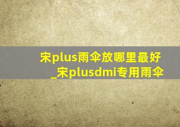 宋plus雨伞放哪里最好_宋plusdmi专用雨伞