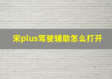 宋plus驾驶辅助怎么打开