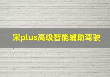 宋plus高级智能辅助驾驶