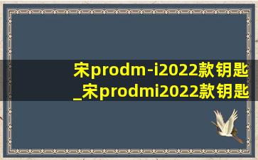 宋prodm-i2022款钥匙_宋prodmi2022款钥匙拆解