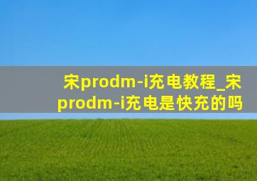 宋prodm-i充电教程_宋prodm-i充电是快充的吗