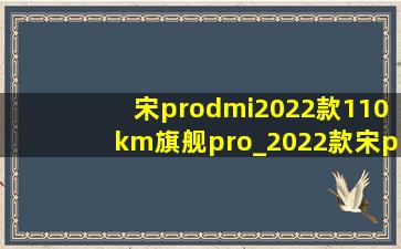 宋prodmi2022款110km旗舰pro_2022款宋prodmi110km旗舰pro