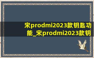宋prodmi2023款钥匙功能_宋prodmi2023款钥匙