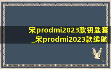 宋prodmi2023款钥匙套_宋prodmi2023款续航