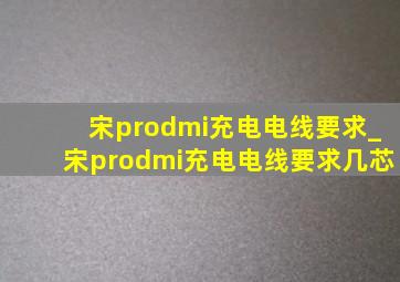 宋prodmi充电电线要求_宋prodmi充电电线要求几芯
