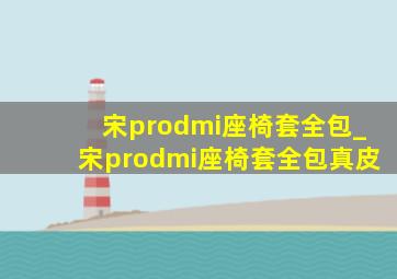 宋prodmi座椅套全包_宋prodmi座椅套全包真皮