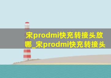 宋prodmi快充转接头放哪_宋prodmi快充转接头