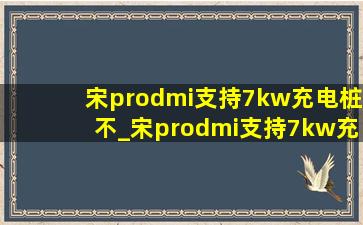 宋prodmi支持7kw充电桩不_宋prodmi支持7kw充电