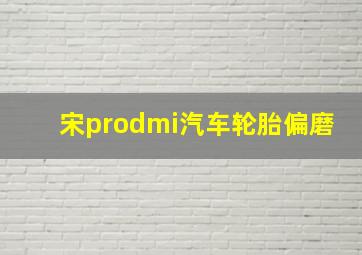 宋prodmi汽车轮胎偏磨