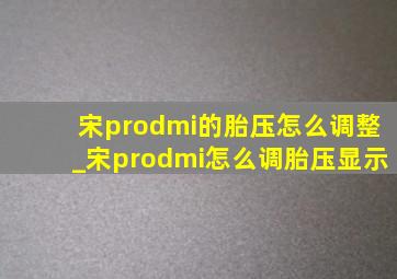 宋prodmi的胎压怎么调整_宋prodmi怎么调胎压显示