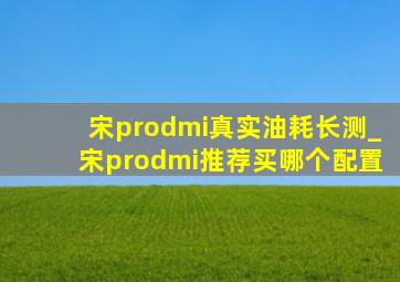 宋prodmi真实油耗长测_宋prodmi推荐买哪个配置