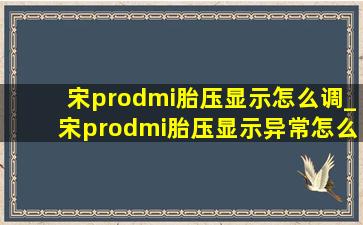 宋prodmi胎压显示怎么调_宋prodmi胎压显示异常怎么回事