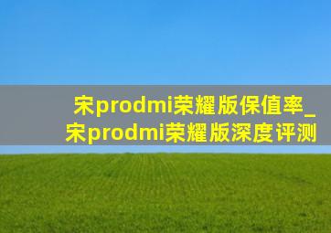 宋prodmi荣耀版保值率_宋prodmi荣耀版深度评测