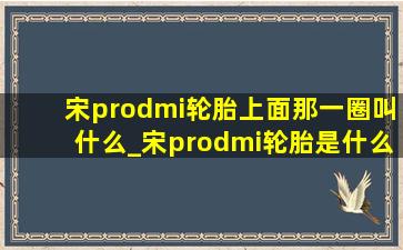 宋prodmi轮胎上面那一圈叫什么_宋prodmi轮胎是什么牌子的