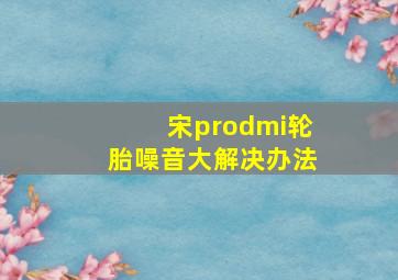 宋prodmi轮胎噪音大解决办法