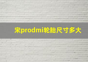 宋prodmi轮胎尺寸多大