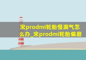 宋prodmi轮胎慢漏气怎么办_宋prodmi轮胎偏磨