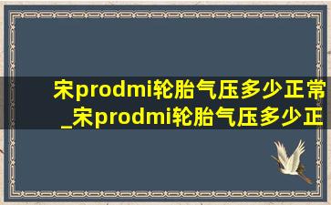宋prodmi轮胎气压多少正常_宋prodmi轮胎气压多少正常范围