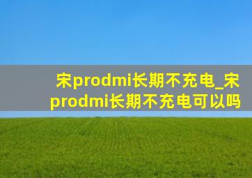 宋prodmi长期不充电_宋prodmi长期不充电可以吗