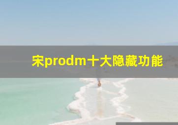 宋prodm十大隐藏功能