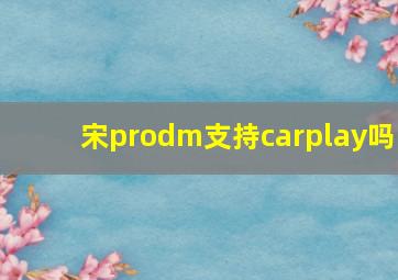 宋prodm支持carplay吗