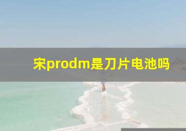 宋prodm是刀片电池吗