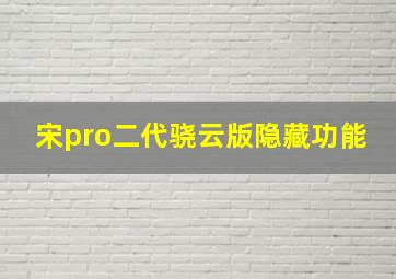 宋pro二代骁云版隐藏功能