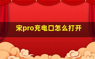 宋pro充电口怎么打开