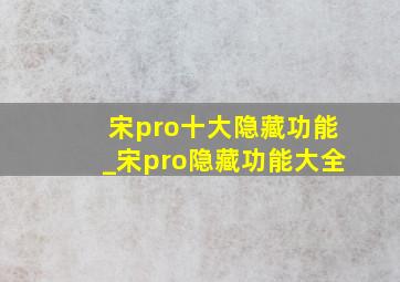 宋pro十大隐藏功能_宋pro隐藏功能大全