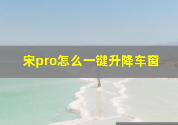 宋pro怎么一键升降车窗