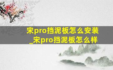 宋pro挡泥板怎么安装_宋pro挡泥板怎么样