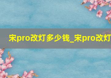 宋pro改灯多少钱_宋pro改灯