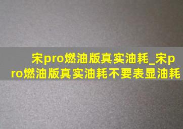 宋pro燃油版真实油耗_宋pro燃油版真实油耗不要表显油耗