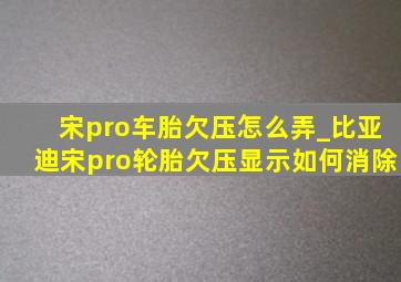 宋pro车胎欠压怎么弄_比亚迪宋pro轮胎欠压显示如何消除