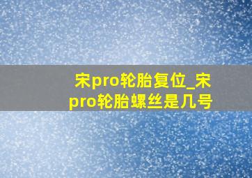 宋pro轮胎复位_宋pro轮胎螺丝是几号