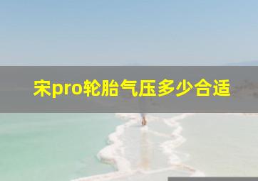 宋pro轮胎气压多少合适