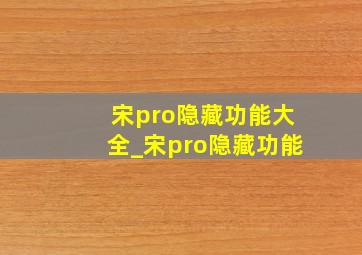 宋pro隐藏功能大全_宋pro隐藏功能