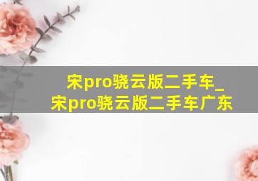 宋pro骁云版二手车_宋pro骁云版二手车广东