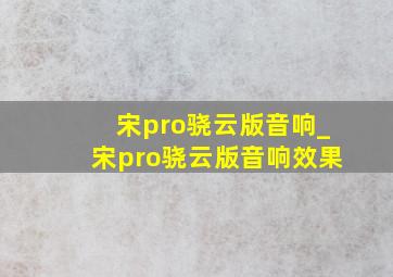 宋pro骁云版音响_宋pro骁云版音响效果