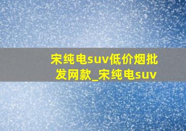 宋纯电suv(低价烟批发网)款_宋纯电suv