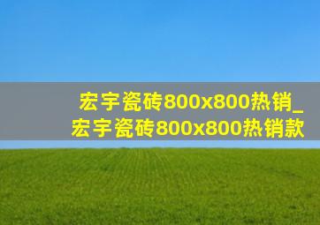 宏宇瓷砖800x800热销_宏宇瓷砖800x800热销款