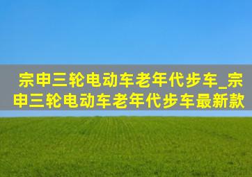 宗申三轮电动车老年代步车_宗申三轮电动车老年代步车最新款