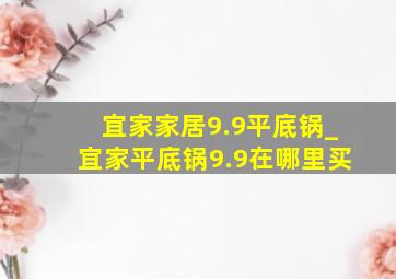 宜家家居9.9平底锅_宜家平底锅9.9在哪里买