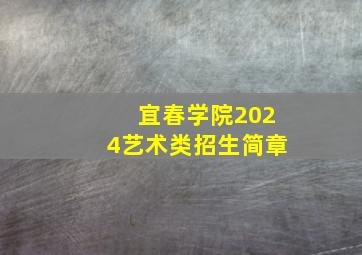 宜春学院2024艺术类招生简章